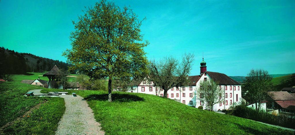 Propstei Wislikofen Hotel Esterno foto